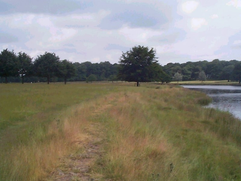 Alongside Tatton Mere - 05