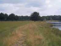 Alongside Tatton Mere - 05