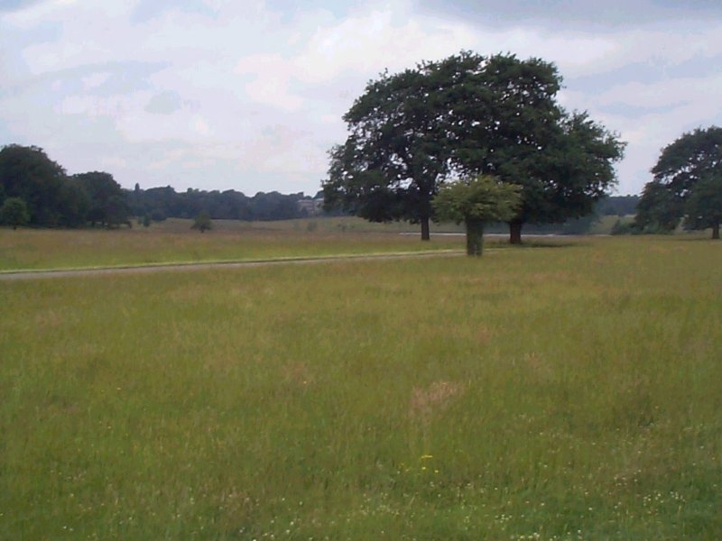 Alongside Tatton Mere - 06