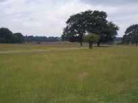 Alongside Tatton Mere - 06