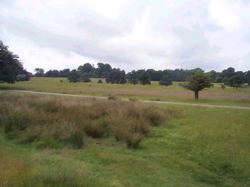 Alongside Tatton Mere - 03