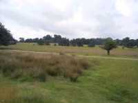 Alongside Tatton Mere - 03