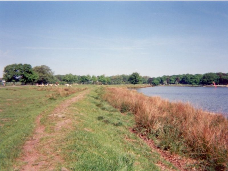 Alongside Tatton Mere - 01