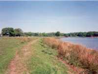 Alongside Tatton Mere - 01