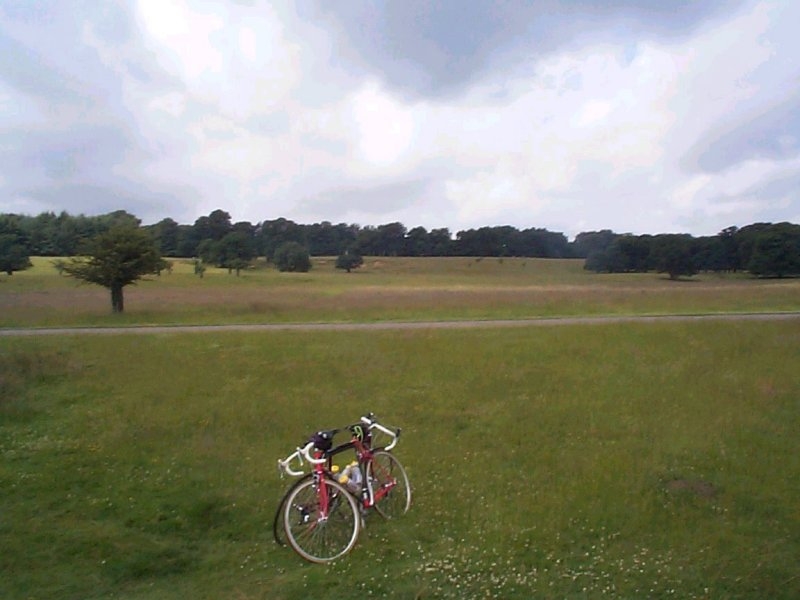 Alongside Tatton Mere - 07
