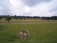 Alongside Tatton Mere - 07