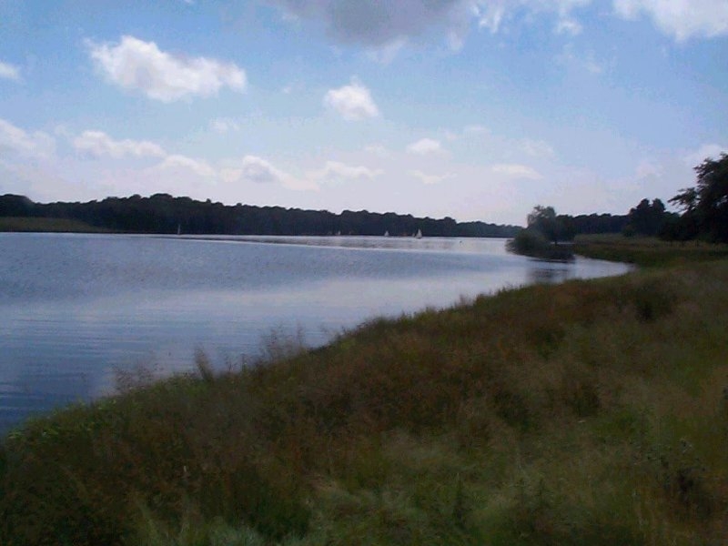 Tatton Mere - 02