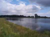 Tatton Mere - 04