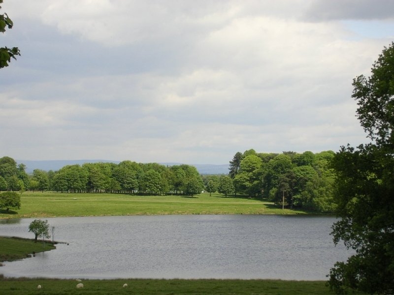 Tatton Mere - 01