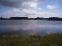 Tatton Mere - 03