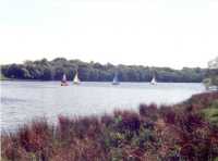 Tatton Mere - 13