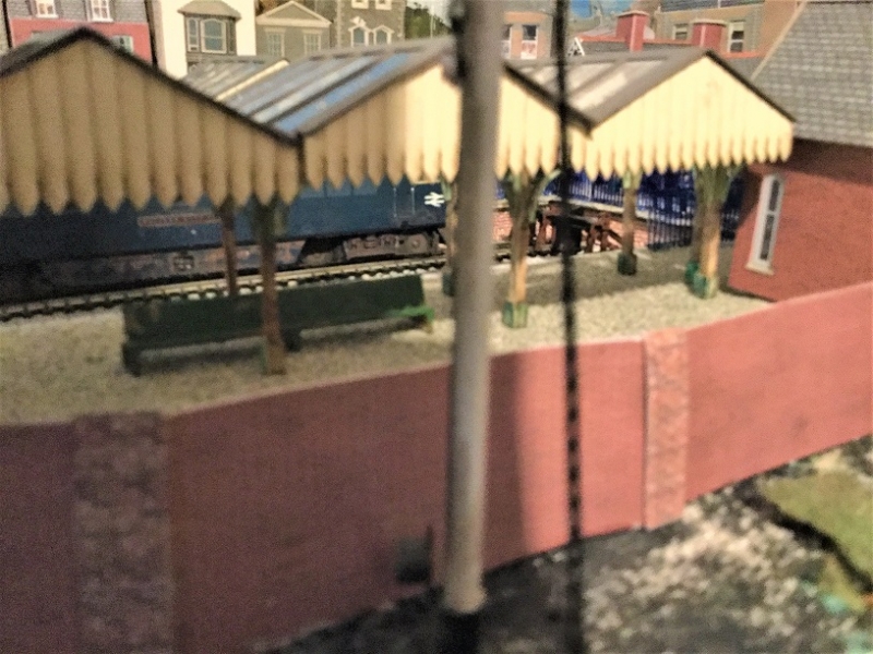 IMG 0724