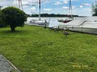Hickling Broad,  Norfolk Broads