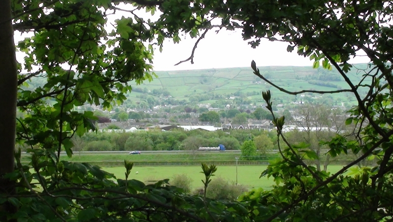 68) L & L May