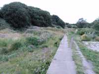 Around the area, much work needed, any volunteers.