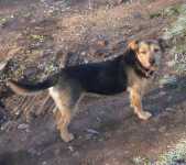 08 - Winnie