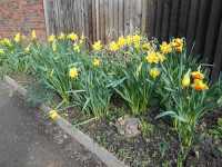 DSCN0404