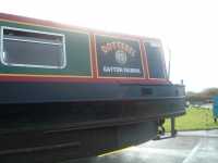 Dotterel repair