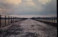 Willoughby Viaduct 1973