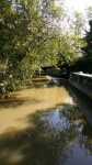 Rugby Moorings 1