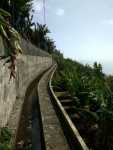 Levada dos Piornais