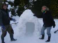 Igloo 2010