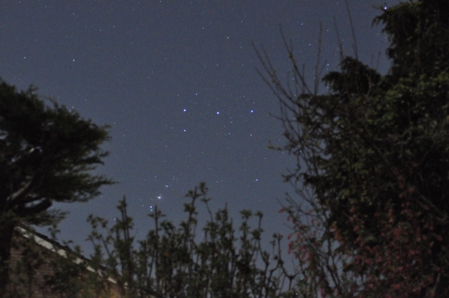 Orion