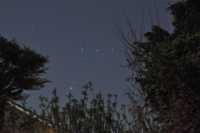 Orion