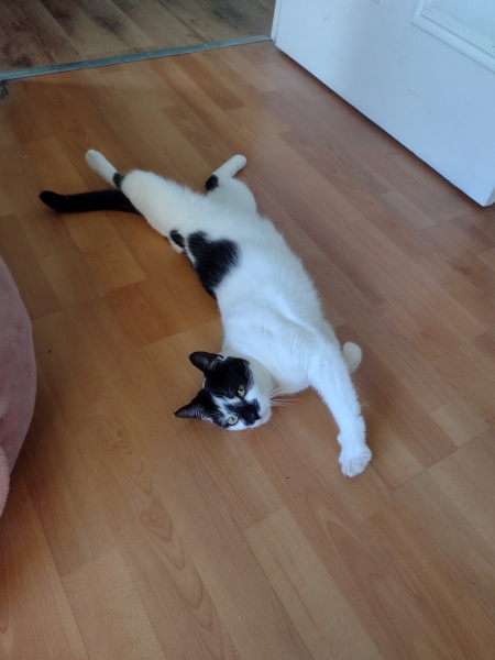 Luna