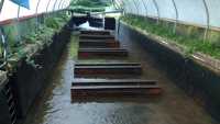 Empty dock with leak.