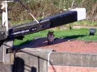 foxkegworthnewlock
