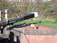 foxkegworthnewlock2