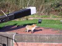 foxkegworthnewlock3