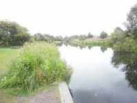Chasewater-09
