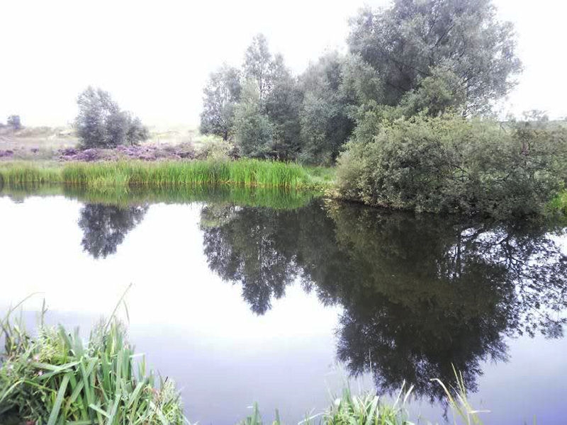 Chasewater-10