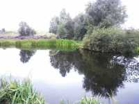 Chasewater-10