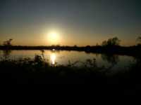 Gorgeous Evening