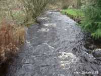 08 - Afon Alwen TYG