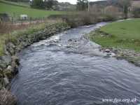 09 - Afon Alwen TYG
