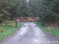 10 - Clocaenog Forest