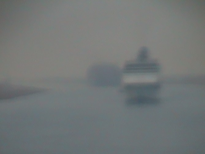 Celebrity Reflection