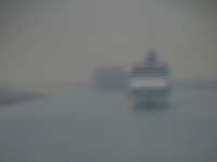 Celebrity Reflection