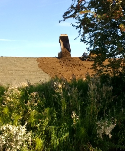Earthworks Hillmorton