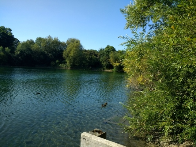 Newbold Quarry
