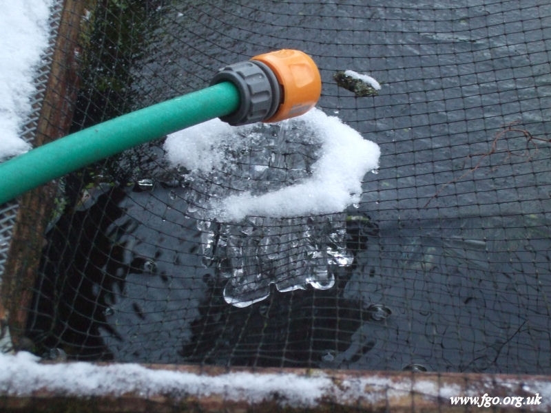 02 - Ice Formation On My Pond