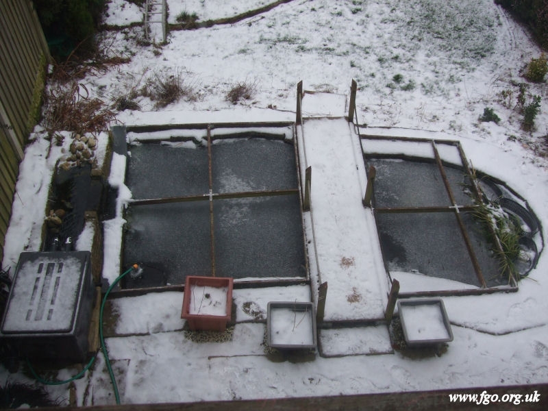 04 - Ice Formation On My Pond