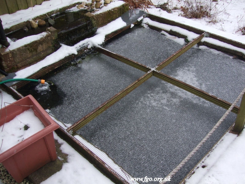 05 - Ice Formation On My Pond