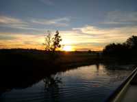 Dawn
