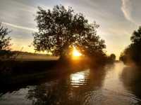 Dawn