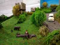 Bear Hunting